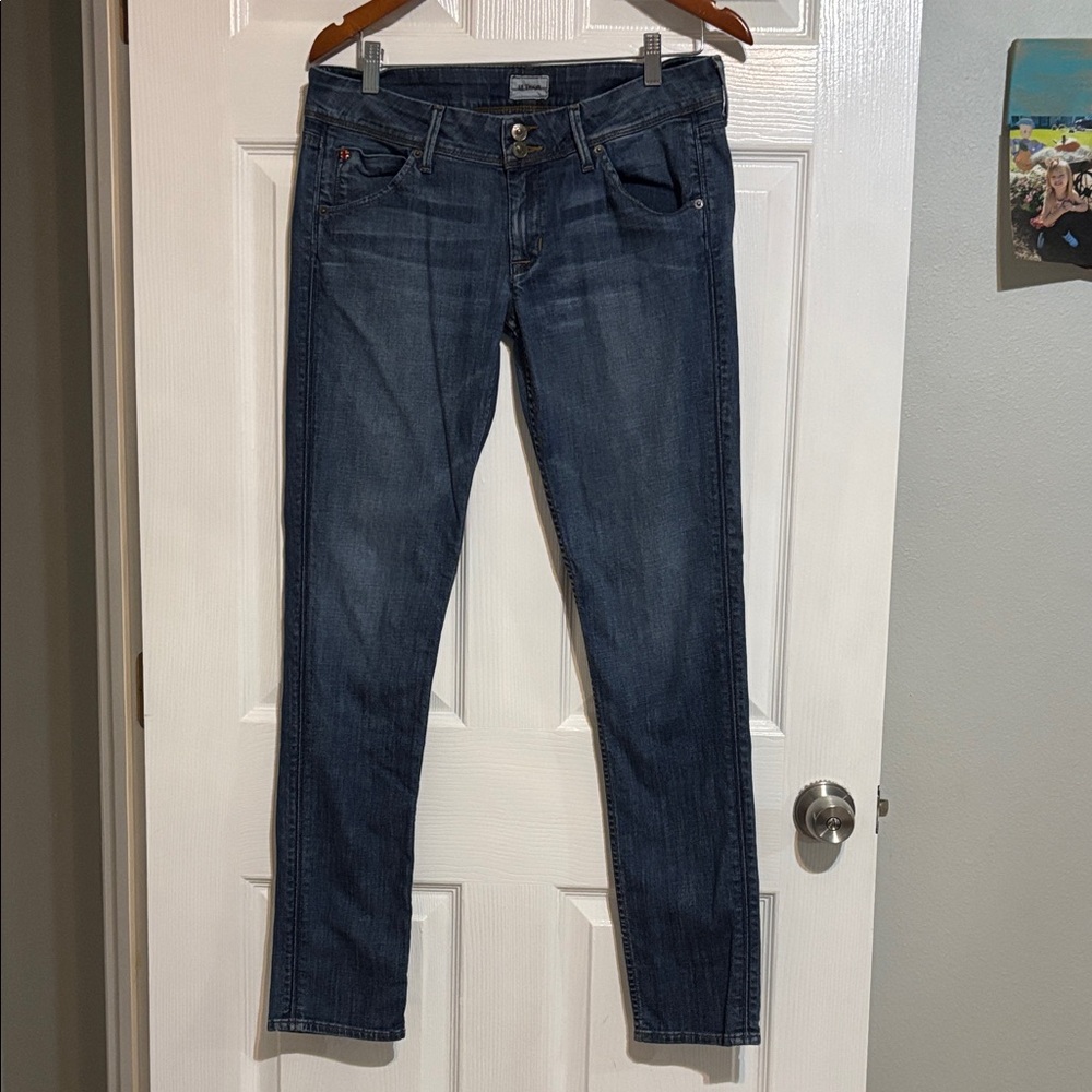Hudson Collin Skinny